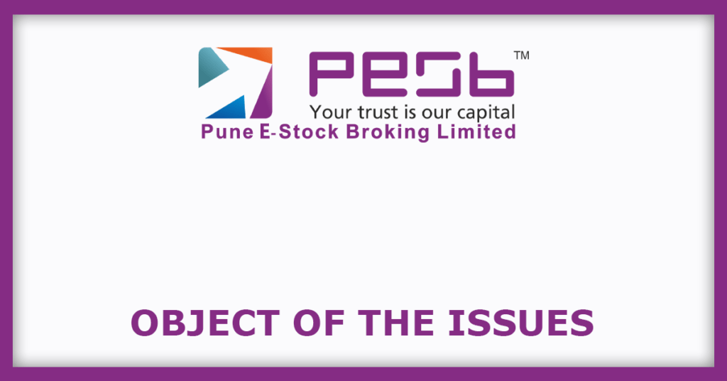 Pune E-Stock Broking IPO
Object of the Issues