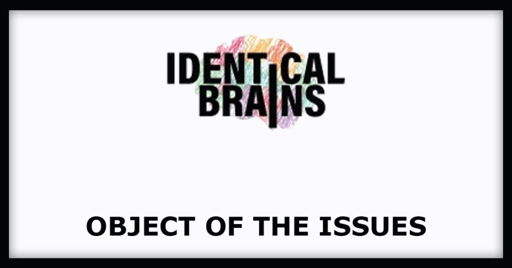 Identical Brains Studios IPO
Object of the Issues