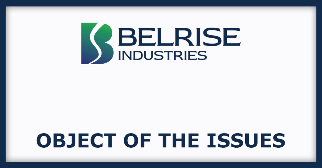 Belrise Industries IPO
Object of the Issues